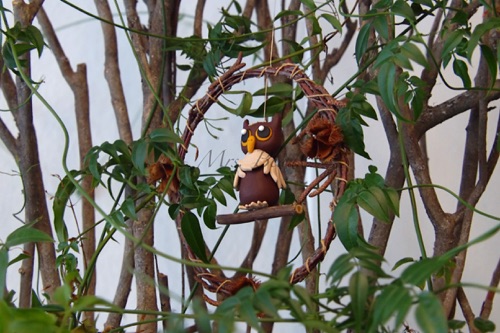 Die kleinen Besonderheiten der Alraune: immer etwas zu entdecken Die kleinen Besonderheiten der Alraune: immer etwas zu entdecken