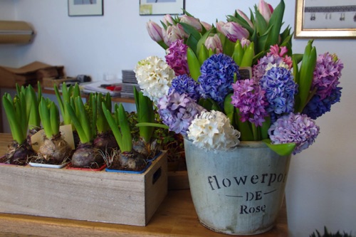 ...Frühling! Ja du bist´s, dich habe ich vernommen! ...Frühling! Ja du bist´s, dich habe ich vernommen!